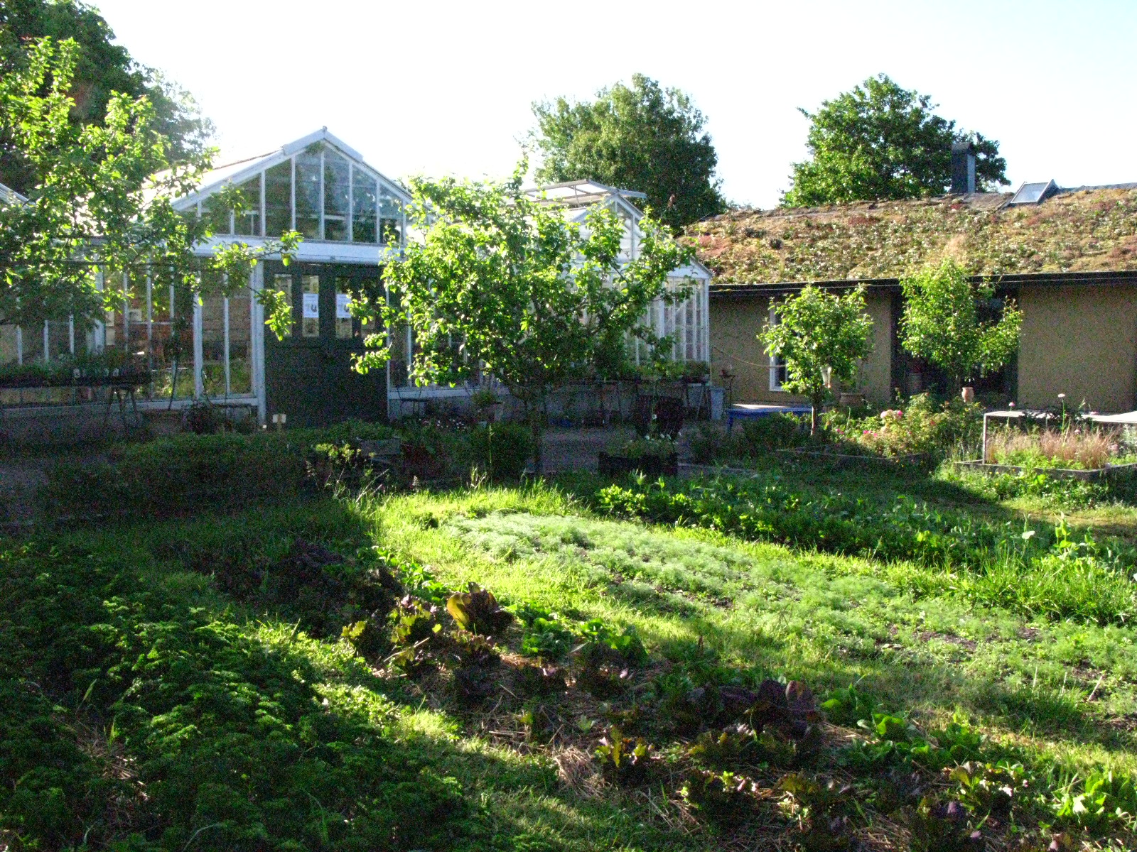 Trädgården med det vita växthuset